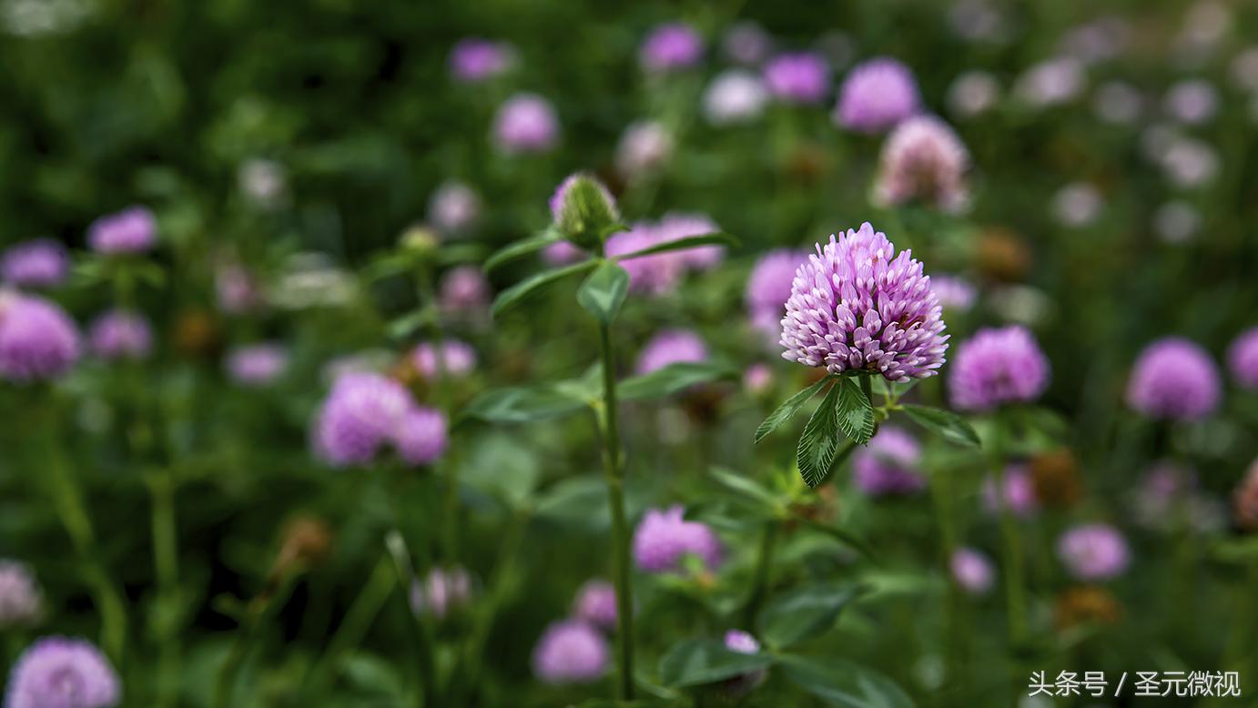 使用双面打印,使用双面打印节约纸张