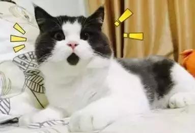 楚乔传中赵丽颖口红的颜色,楚乔传赵丽颖四种口红