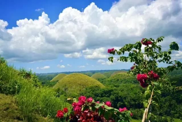 最值得去的4个海岛 (十大绝美海岛旅游攻略)