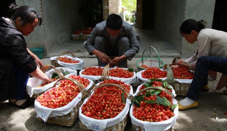 对付中间商暴利，苏宁就一个字——“包”，两天卖了1万吨奶