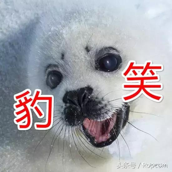 柯南冷知识和彩蛋,柯南里的知识和常识