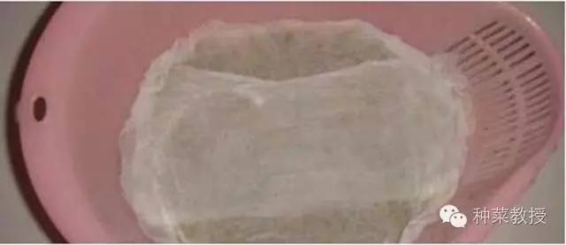 阳台种菜的土没有营养了怎么办,种子种菜阳台教程