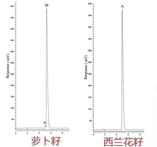 萝卜素和萝卜的区别 (萝卜素和胡萝卜素的区别)