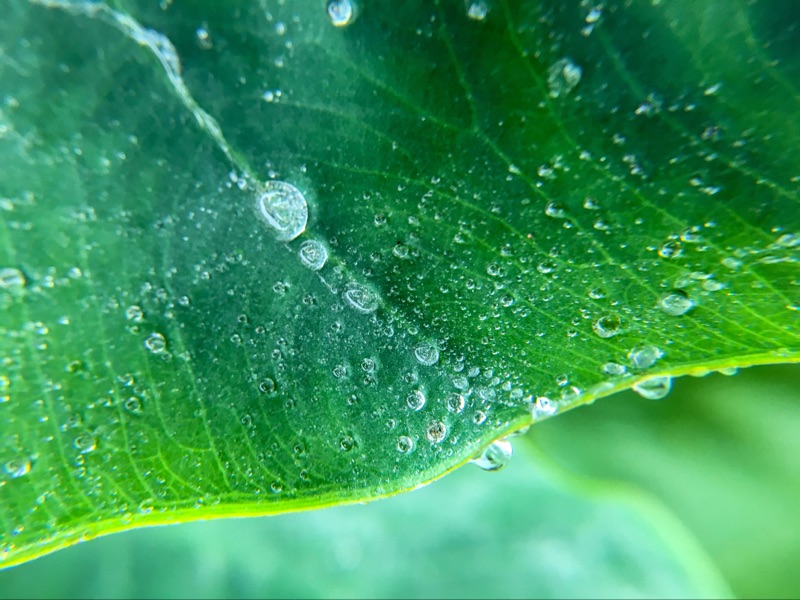 为什么男朋友不喜欢拍照,不会拍照的男朋友图片