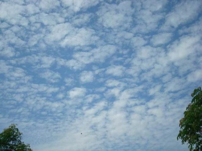 观云识天推荐看吗,观天识云小知识