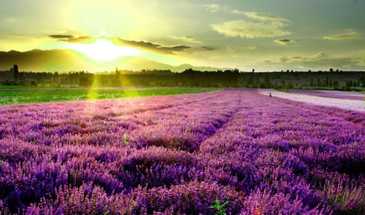 有个性的早安说说句句简短走心,早安语录励志点赞高的说说带图片