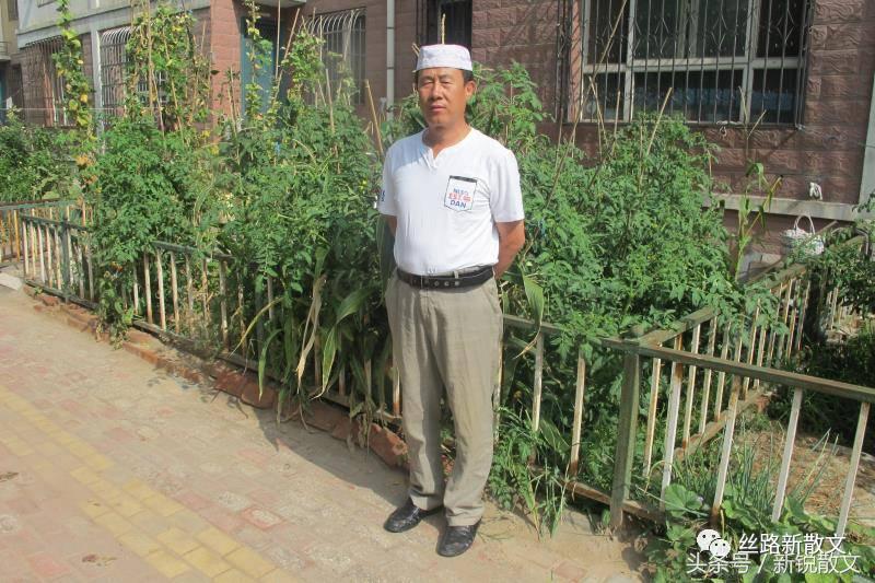 回民的乜贴是啥意思,回族过乜贴是什么意思