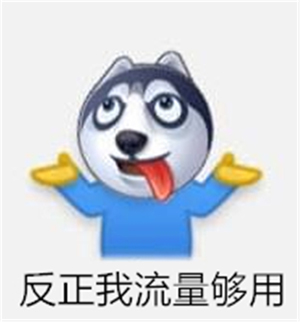 流量不够用是用流量卡还是套餐,这个月流量不够用怎样再加点流量