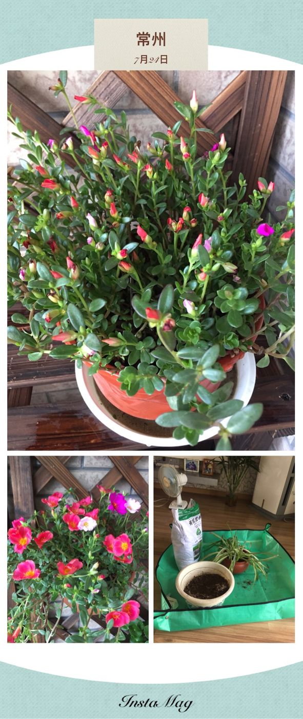 虚度光阴才是最好的状态,虚度时光才是人生的最高境界