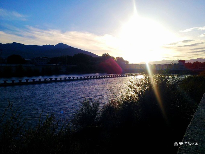 奥古斯都,August的格桑花秘境：我养你！带你去*藏西**啊！