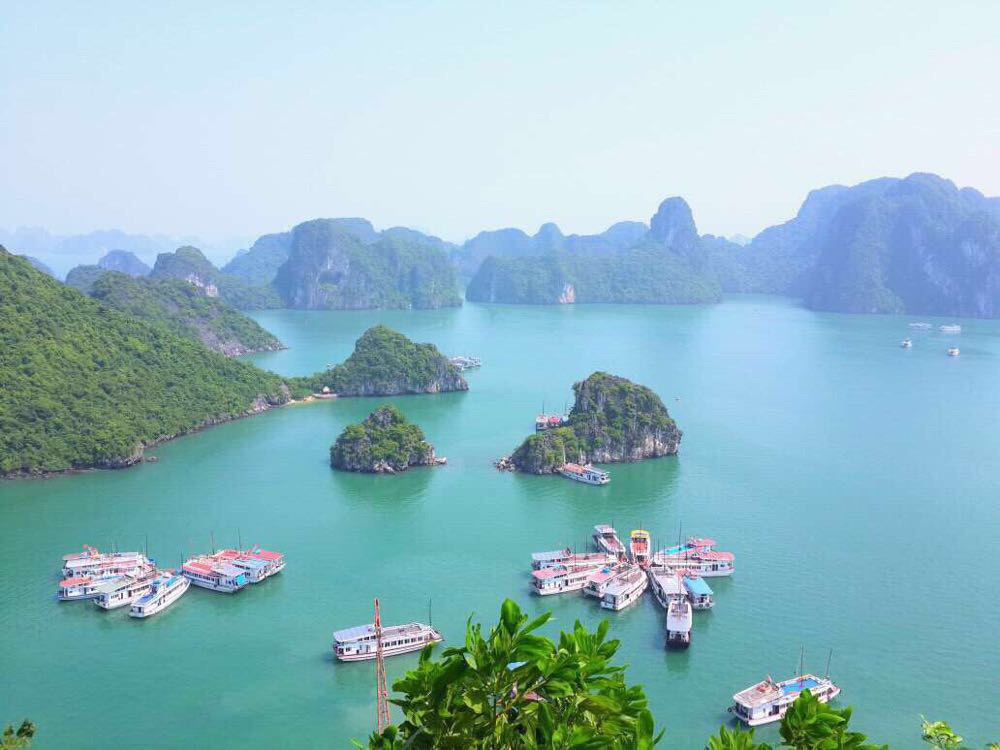 越南有哪些有趣的事,你不知道的越南趣事