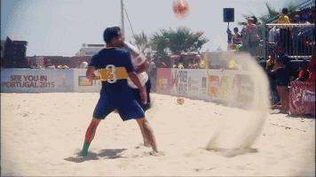 承包一整片海的浪漫,承包一片海域能干什么