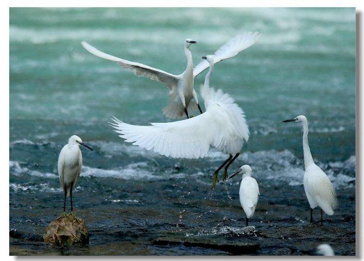 小地方水都丹江口,亚洲水都丹江口