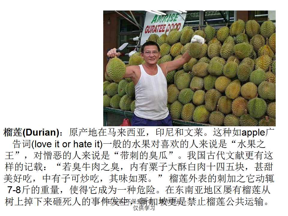 认识植物从身边开始,认识植物的根茎叶各个部分