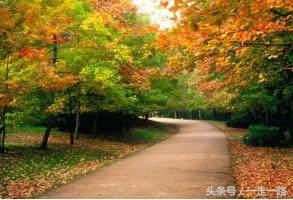 云贵川自驾游线路攻略,云贵川自驾游详细路线