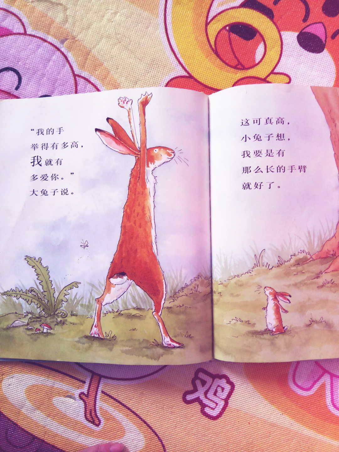 绘本阅读的7步法教你如何读绘本,分享阅读种子绘本体会和建议