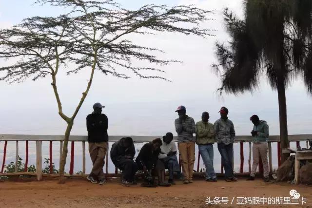 风动？树动？心动！致你，Kenya