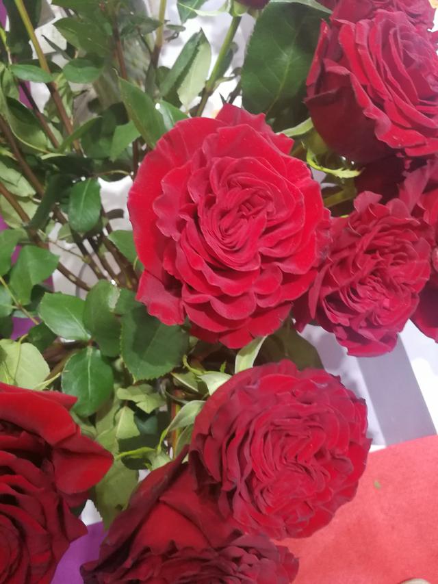 干花香皂花永生花哪个好,皂花和永生花的区别