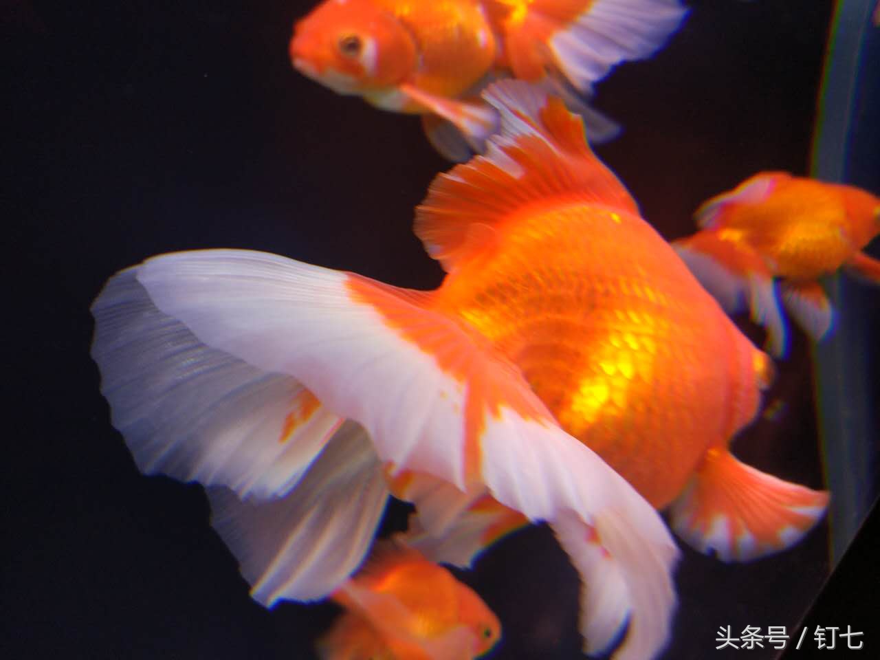 夏天与海绝配,夏天与海洋更配的图片