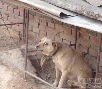 开会的时候，经理突然发飙了