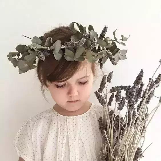 娈嬫灊璐ュ彾鎻掕姳,娈嬫灊璐ヨ姳