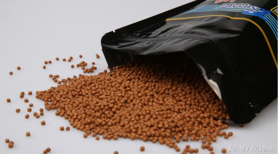 观赏鱼怎么喂鱼粮最好,观赏鱼最好喂什么饲料