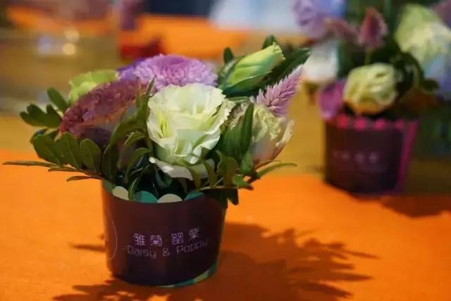 鑸屽皷涓婄殑鍗楅棬,鑸屽皷涓婄殑鍗楅棬缇庨鍥㈣喘