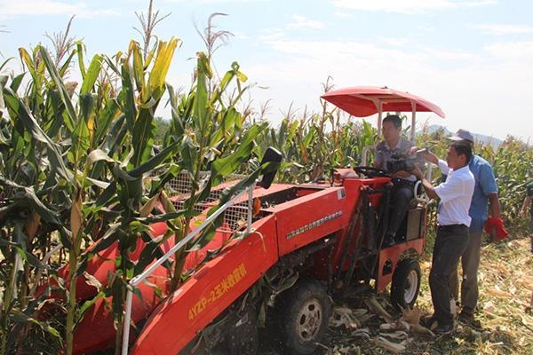 玉米收获机有哪些问题,玉米收获机哪款最好