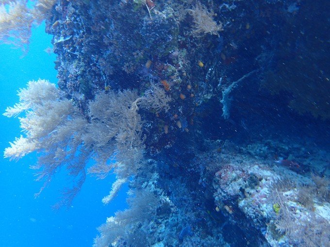 一起去帕劳旅游,去帕劳旅游自由行攻略