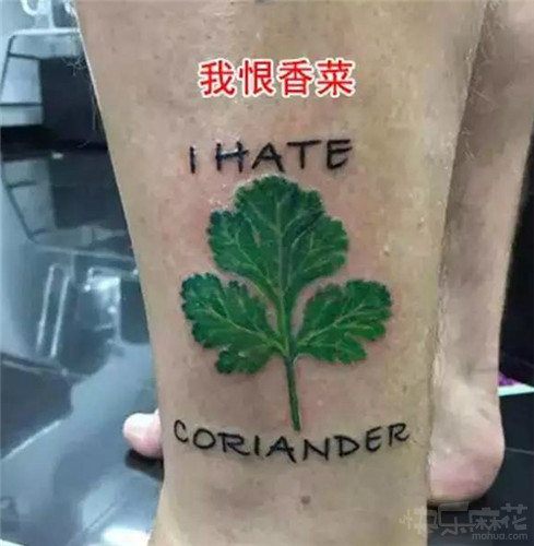 开会的时候，经理突然发飙了