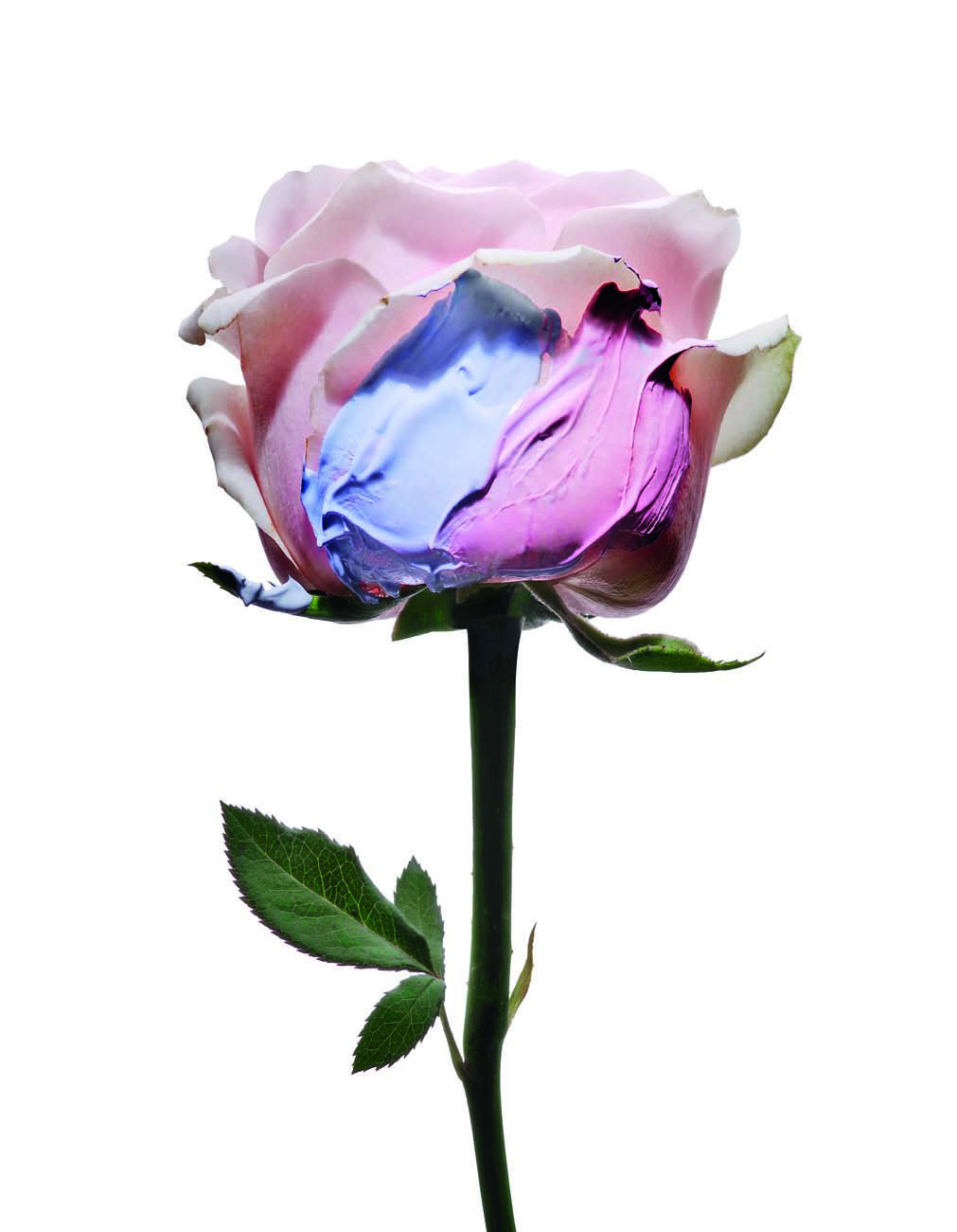 精准护肤淡纹,精准护肤集中祛斑