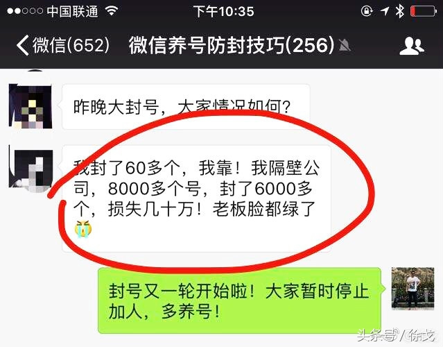 徐戈的结局,徐戈的一篇文章