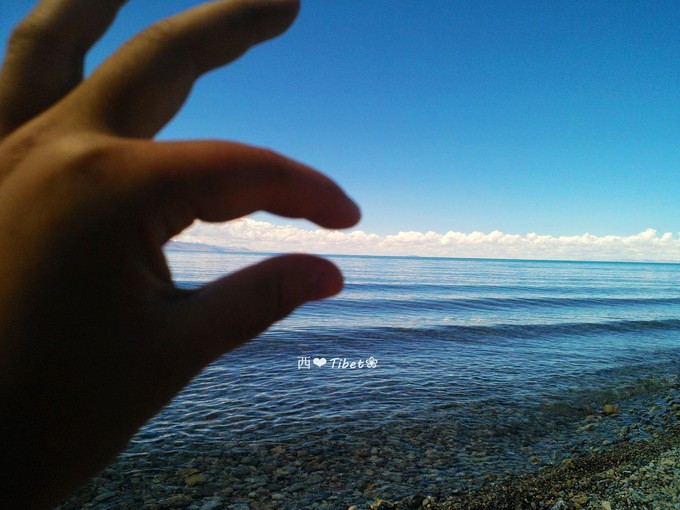 奥古斯都,August的格桑花秘境：我养你！带你去*藏西**啊！