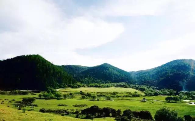 12月机票提前多少天订最便宜,每个星期哪天订机票最便宜