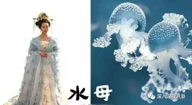 自从割双眼皮不算整容之后，娱乐圈不微调的女演员是真·不存在