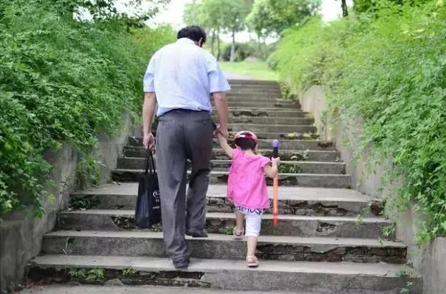 花如此多娇,花都如此多娇全文免费阅读