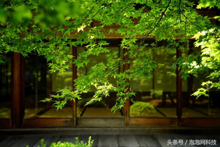 索尼微单a9最新消息,索尼a9新微单