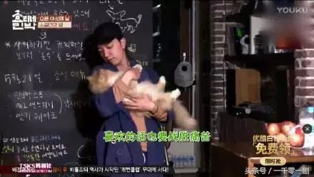 国民妖精的成长经历,国民妖精