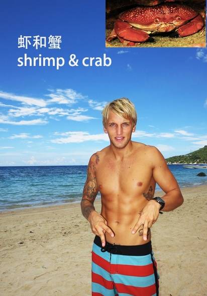 各种鱼的手势,海鱼表示动作词语