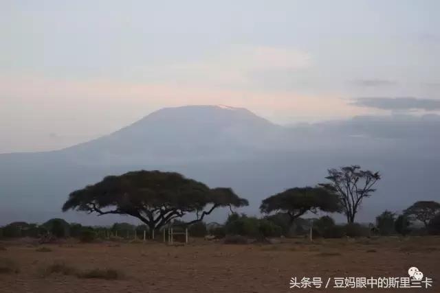 风动？树动？心动！致你，Kenya