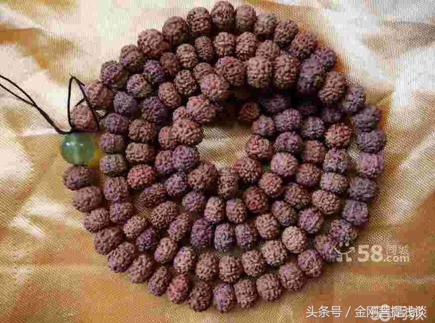 金刚菩提阴皮什么意思,金刚菩提子返碱的正确处理方法