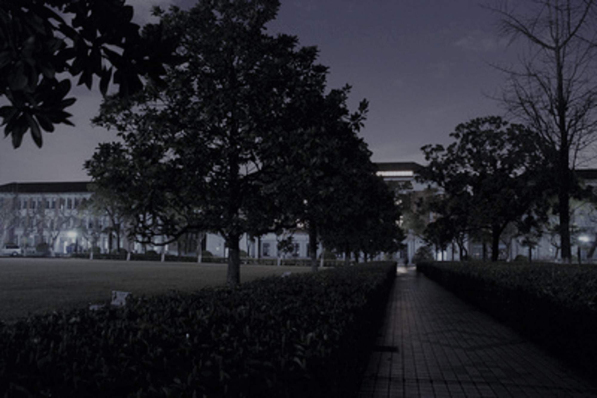 我和贞子谈恋爱故事,我和贞子有个约会