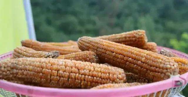 山西历山舜王坪大草原攻略,看云海高山草甸的地方