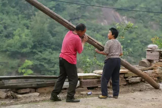 山西历山舜王坪大草原攻略,看云海高山草甸的地方