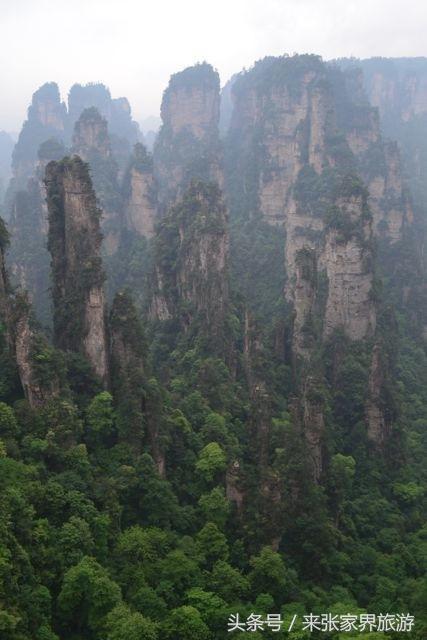 上海到张家界五日游攻略,找一下去张家界天门山的线路