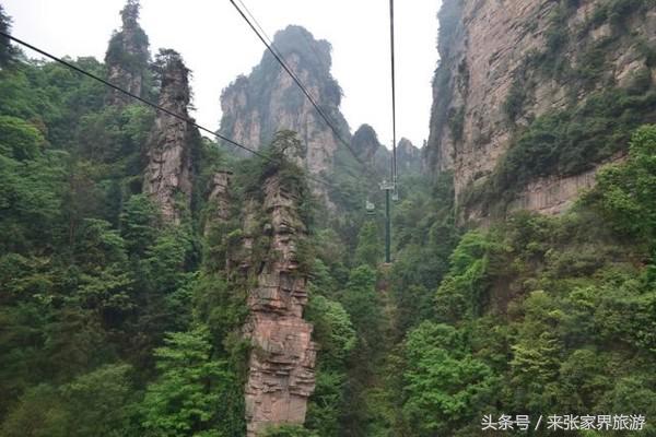 上海到张家界五日游攻略,找一下去张家界天门山的线路