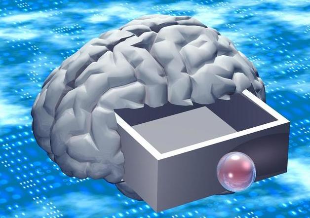 人类大脑都一样吗,人类大脑与人工智能