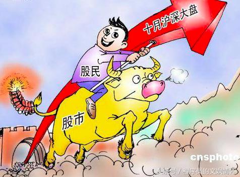 小白聊股票视频,小白聊股票的话术