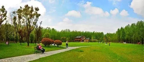 《滨湖使用说明书》，从它开始，重新认识滨湖！