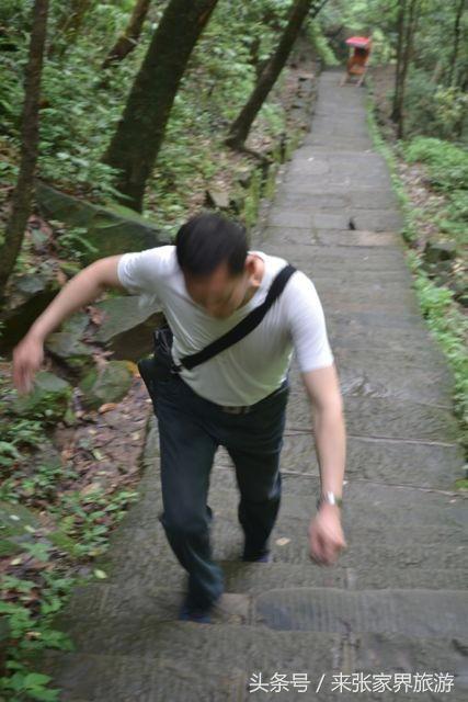 上海到张家界五日游攻略,找一下去张家界天门山的线路